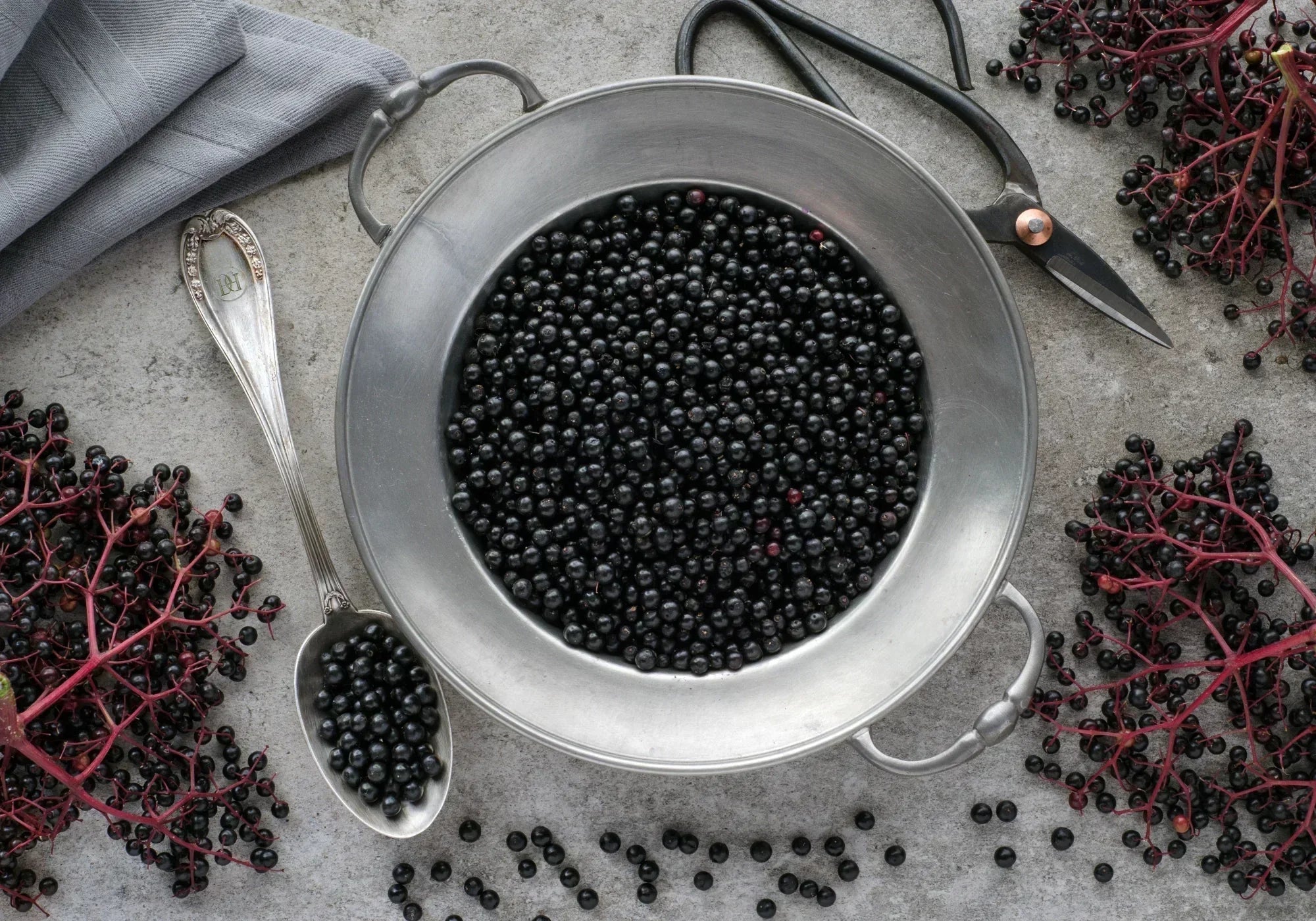 Черен бъз: Противопоказания, вреди и странични ефекти