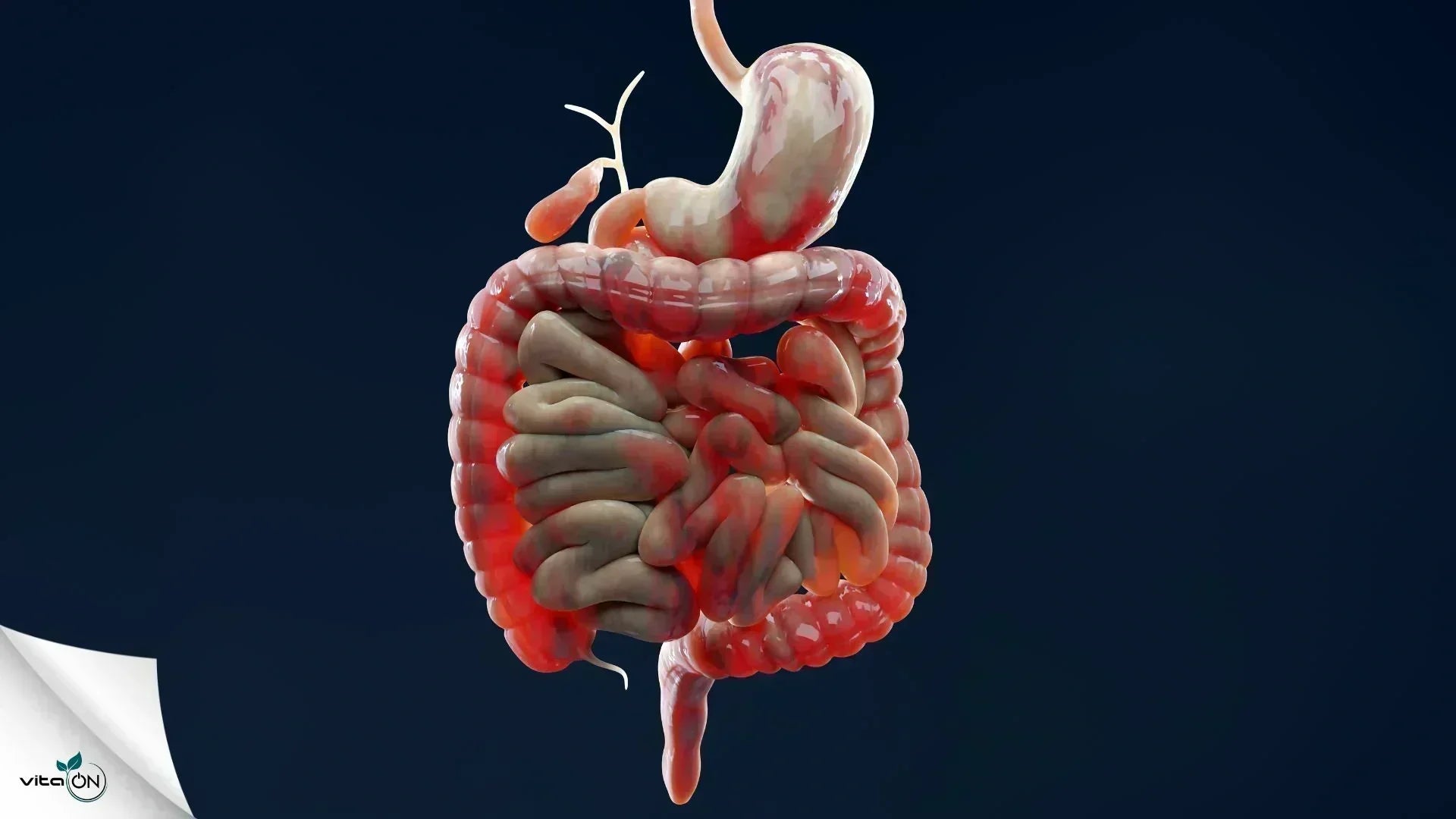 Бабини рецепти за успокояване на раздразнено дебело черво