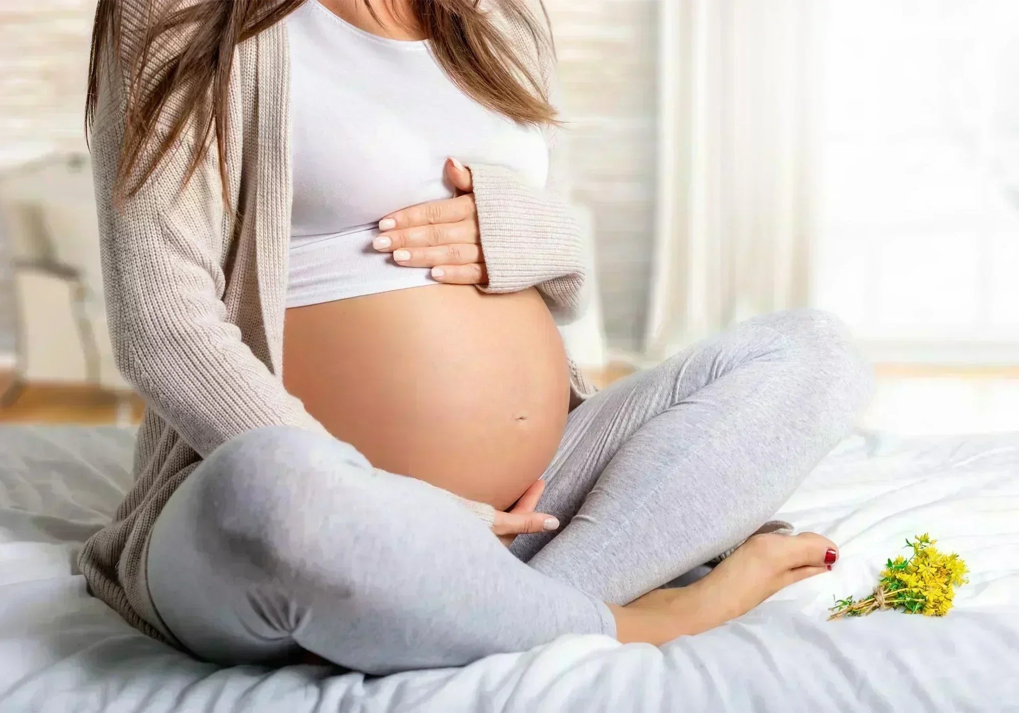 Жълт кантарион при бременност - може ли