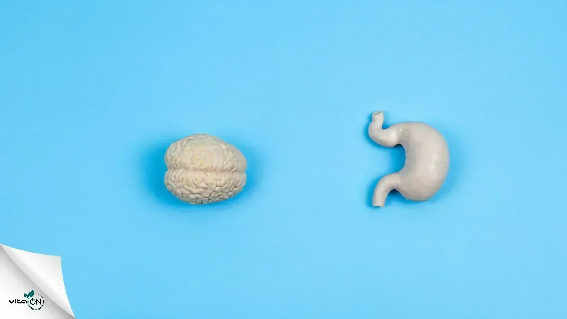 Нервен стомах - същност, симптоми и лечение