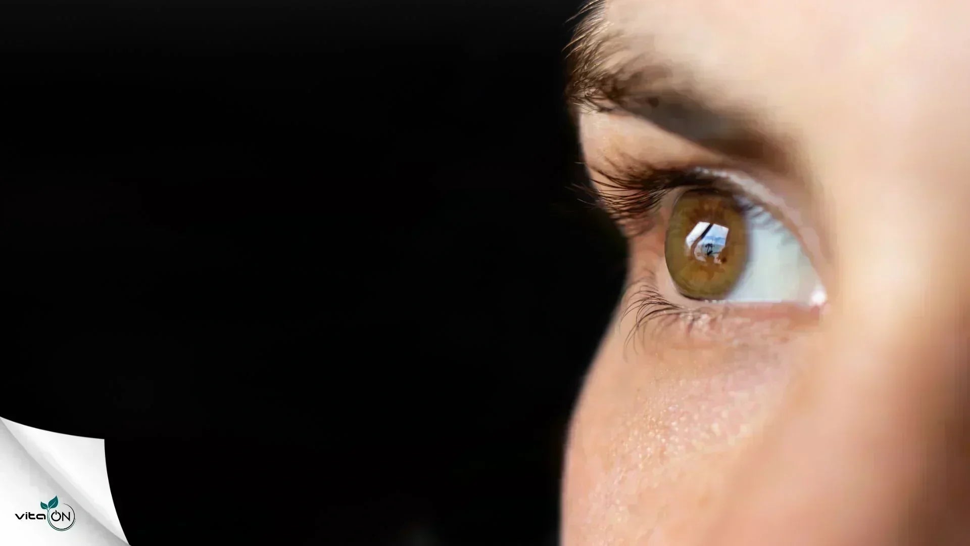 Всичко за очните болести: Видове и често срещани проблеми