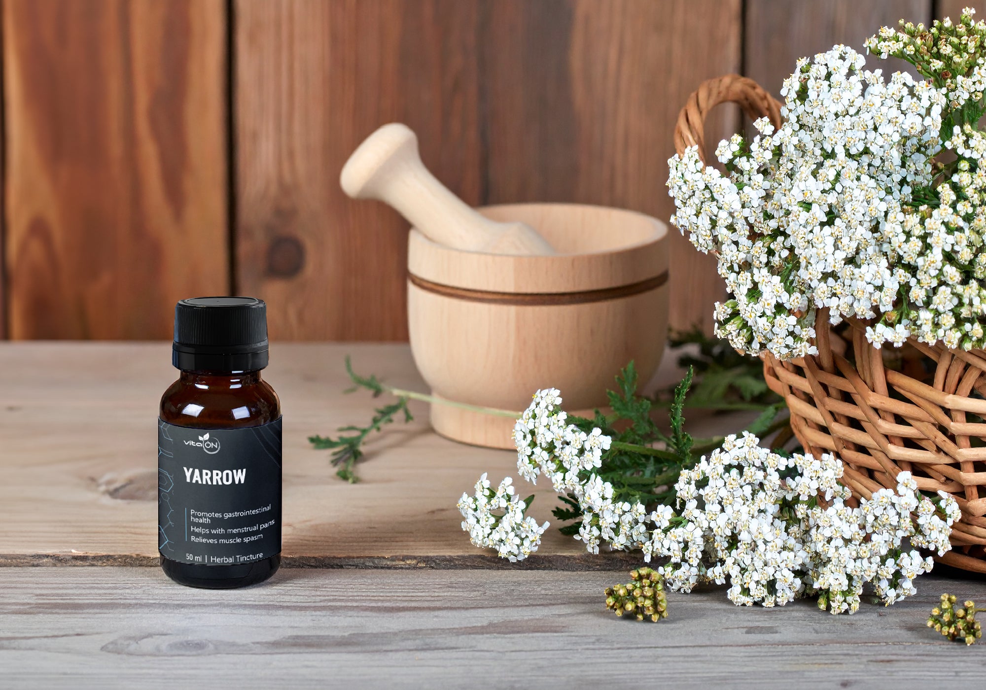 бял равнец билкова тинктура