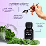 Ползи от приема на тинктура "Живовляк"