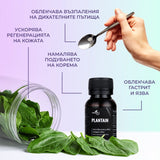 Ползи от приема на тинктура "Живовляк"