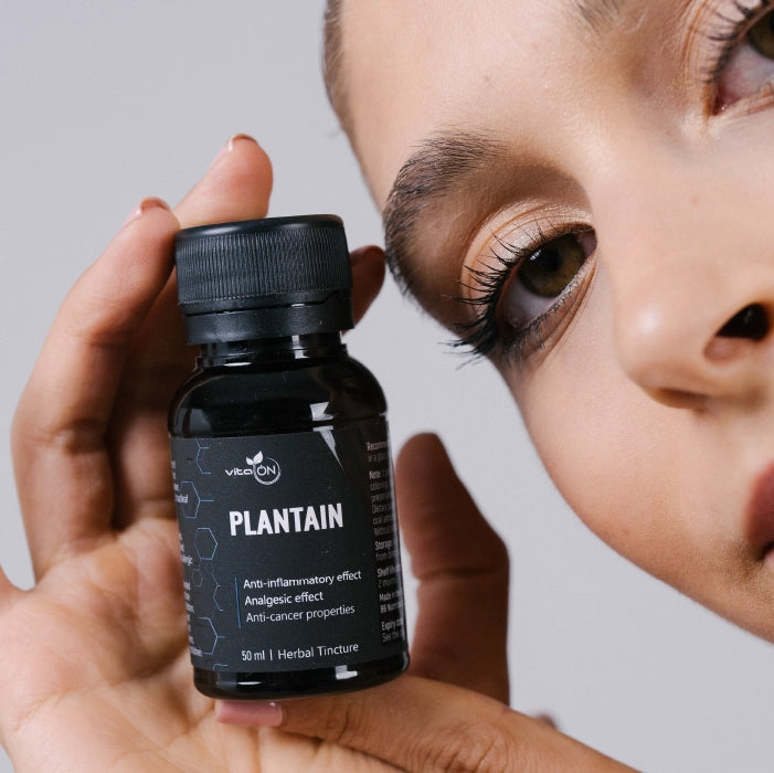 Живовлякът има лековито действие при астма