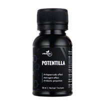 Пълзяща тинтява - билкова тинктура